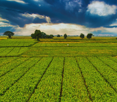 Cópia de Res.4966 Sq. (1)